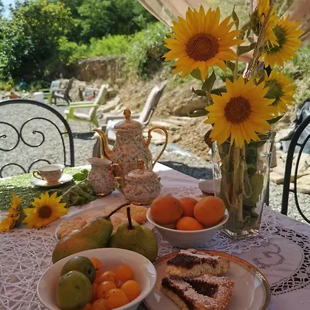 'rian D'oliva カネッリ