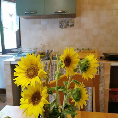 Bauernhof 'rian D'oliva *