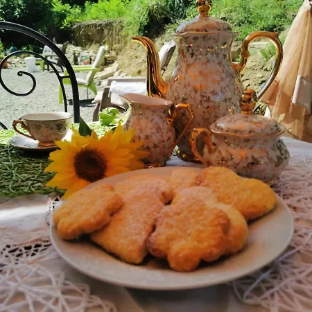 'rian D'oliva カネッリ