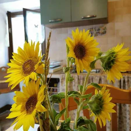 'rian D'oliva Bauernhof