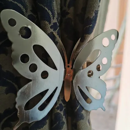 'rian D'oliva Canelli